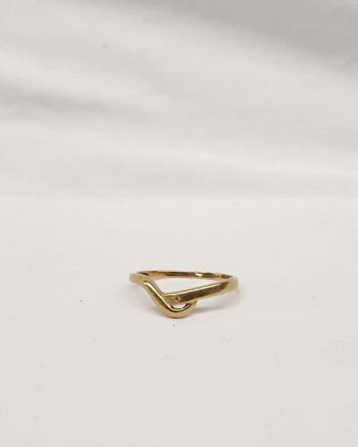02 - Ring - Bild 1.jpg