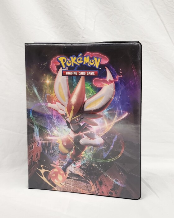 09-Pokemon-Bild 1.jpg